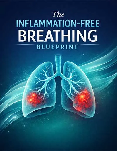 Pulmo Balance bonus 2 inflammation guide